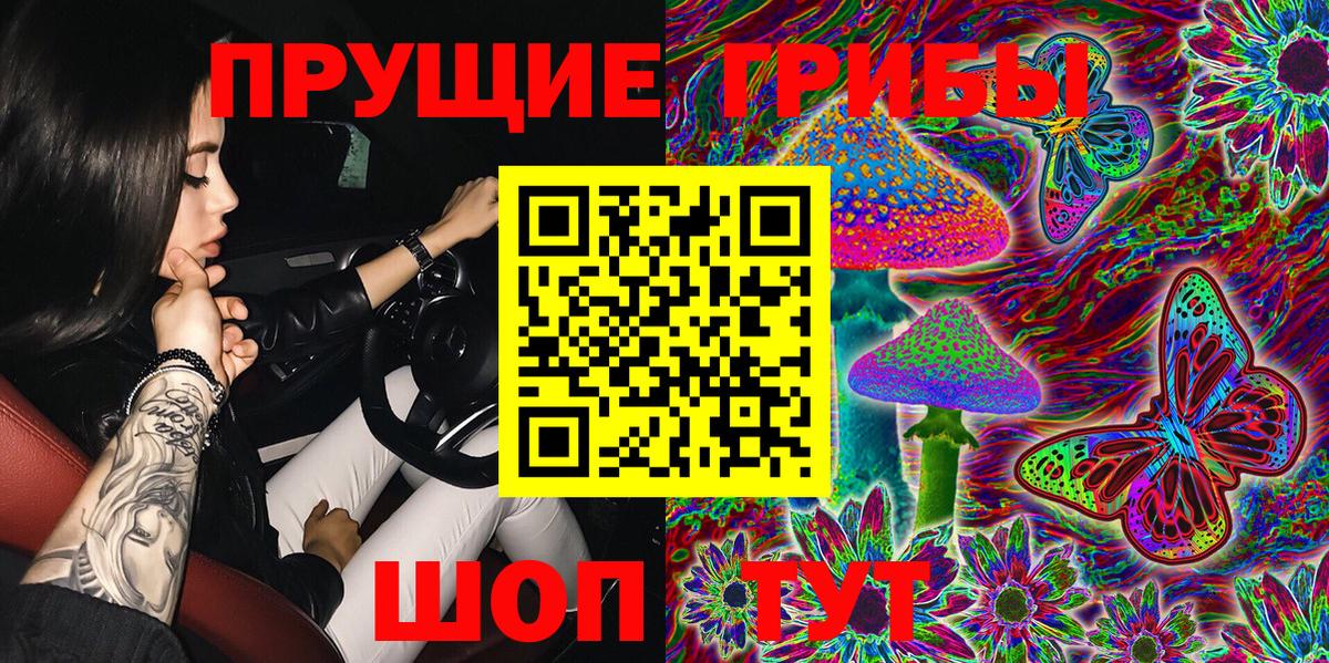 Псилоцибиновые грибы MAGIC MUSHROOMS Торжок