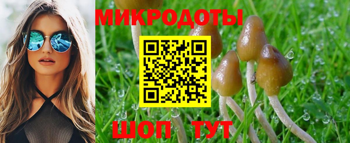 Галлюциногенные грибы Cubensis  Галлюциногенные грибы прущие грибы  Торжок  Вход с VPN 