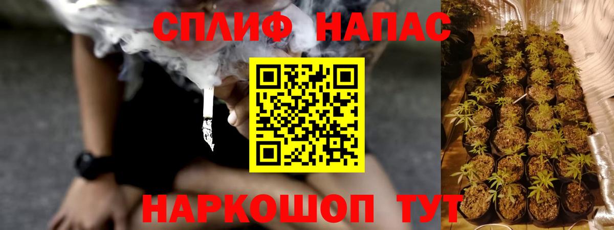 Канабис планчик Торжок